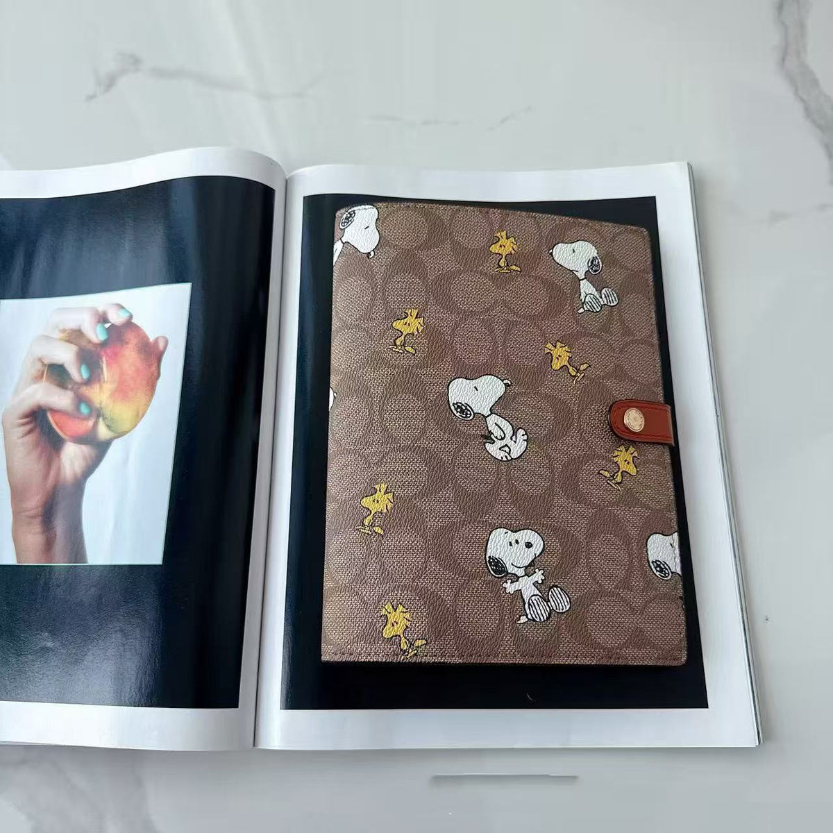 Coach Leather luxury A5 notebook Journals