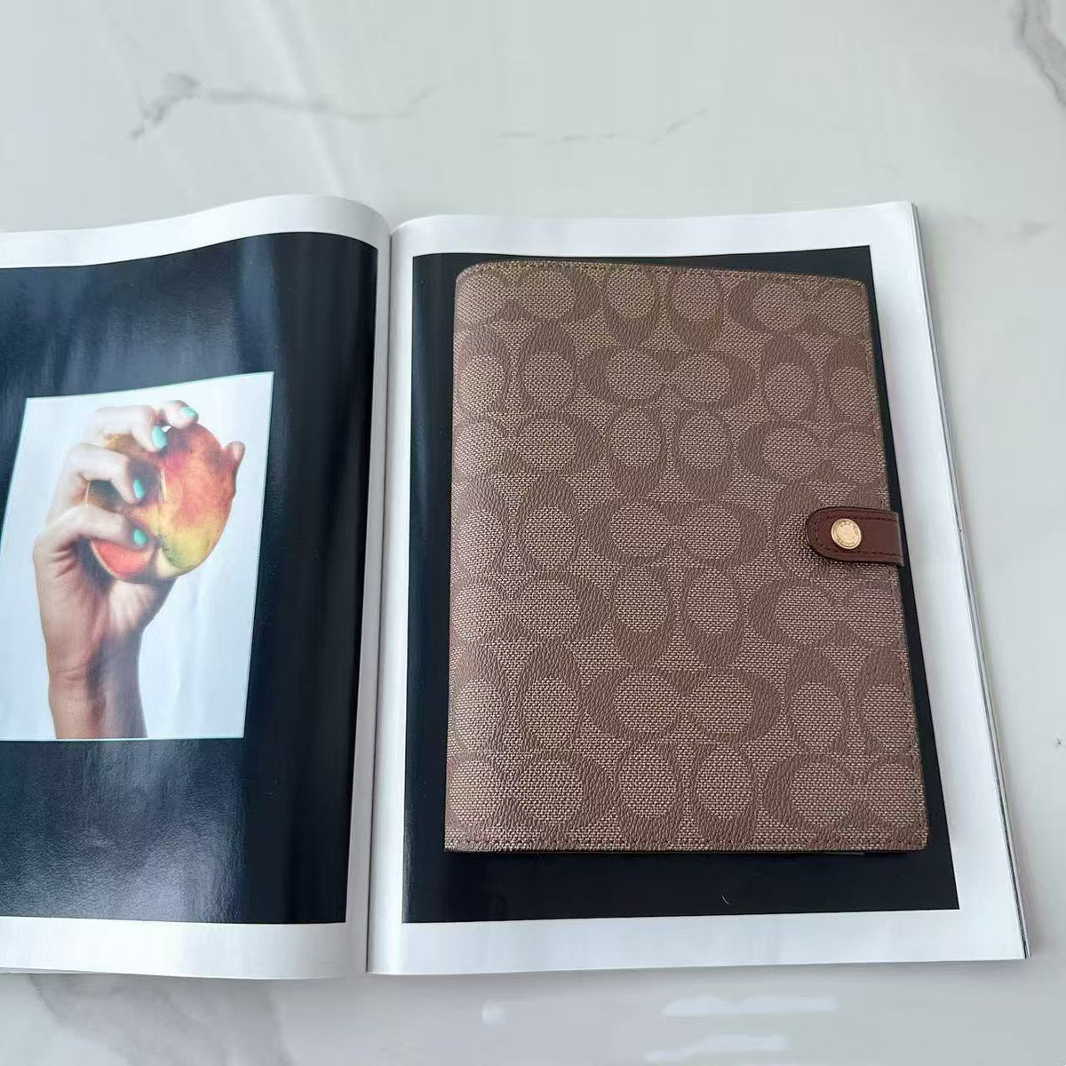 Coach Leather luxury A5 notebook Journals
